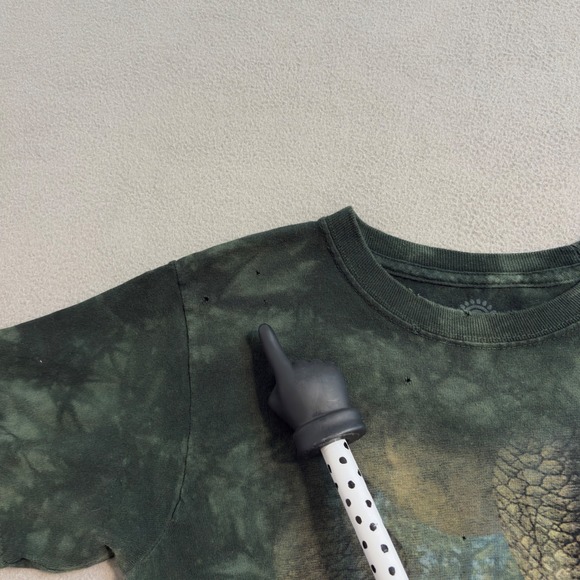 The Mountain Dinosaur World T Shirt Kids Plant City Florida Green L 8-10 - Picture 4 of 9